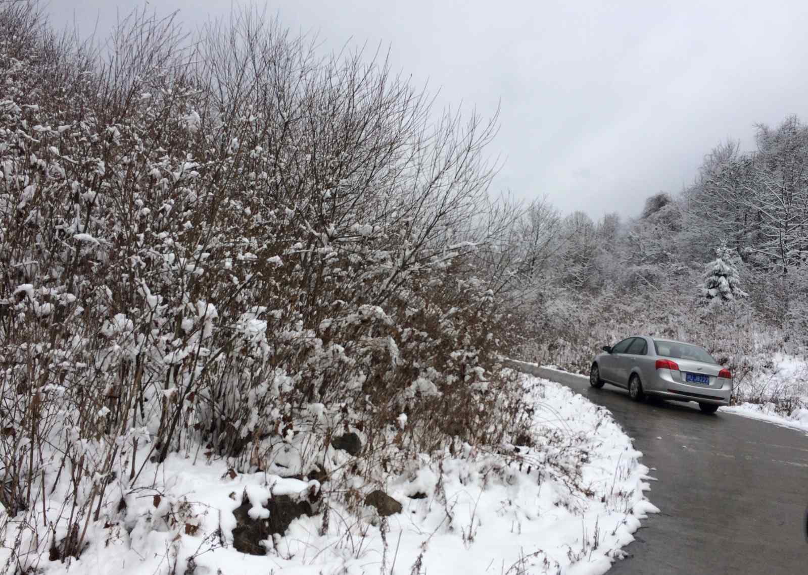 刚才地震了吗2017今天 2017年2月24日到汶川耿达乡看雪，巴适，玩得开心！第二天早上3点24分发生4.4级地震吓坏了、