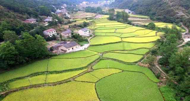 一顷土地和一公顷土地，等于多少亩的土地呢？今天算长见识了