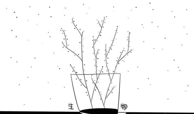 藻类植物 藻类植物的繁殖方式是什么