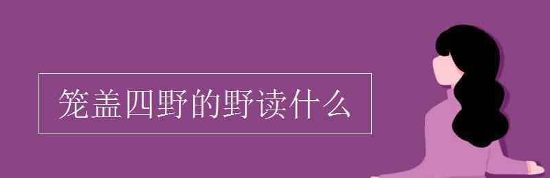 笼盖四野 笼盖四野的野读什么