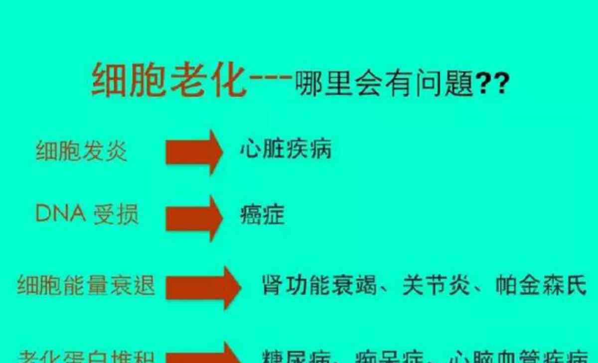 人体细胞多久更新一次 身体细胞的更新周期？