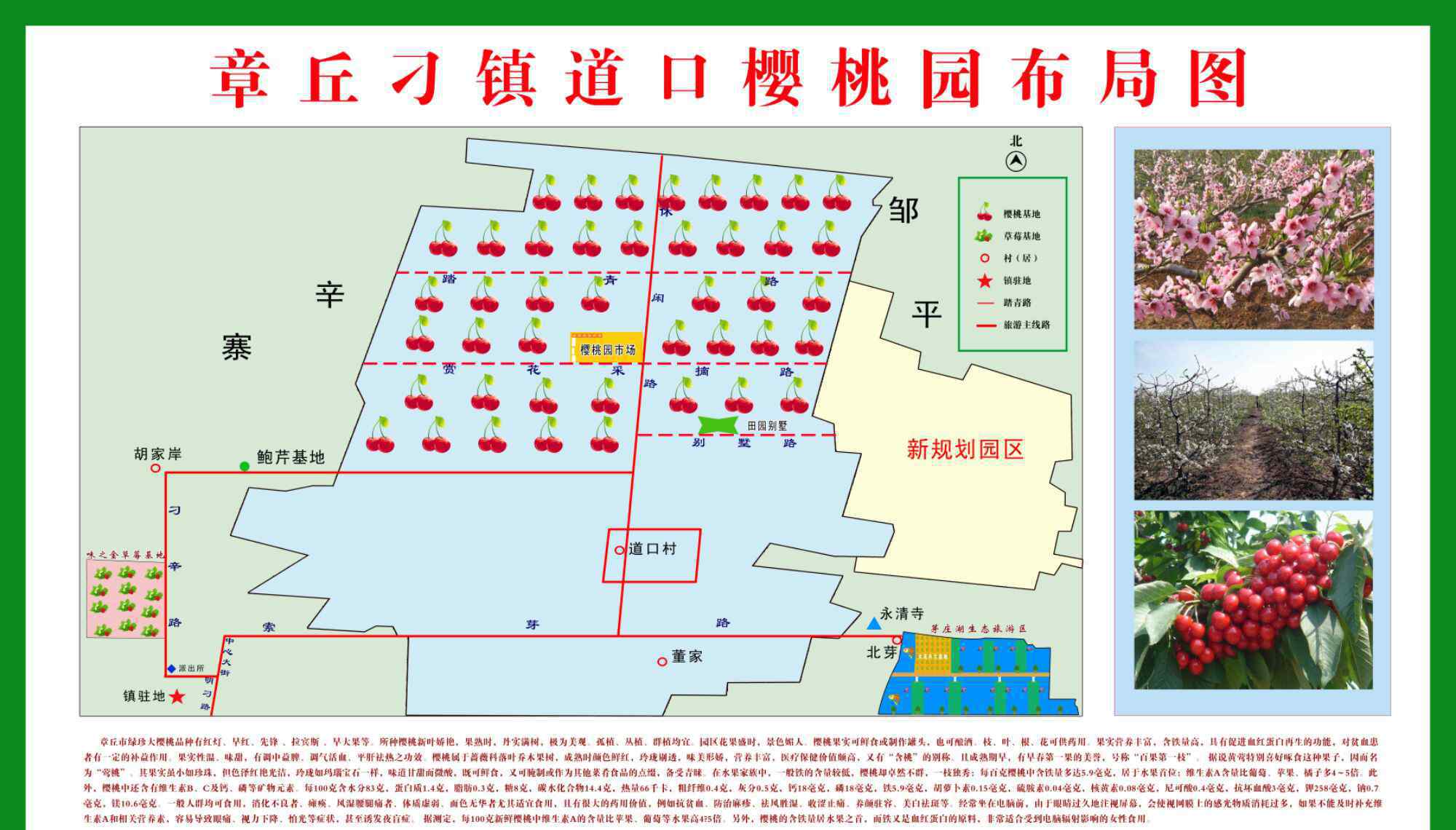 黑地瓜 倾力打造现代都市农业园区，做优做强特色品牌农产品。