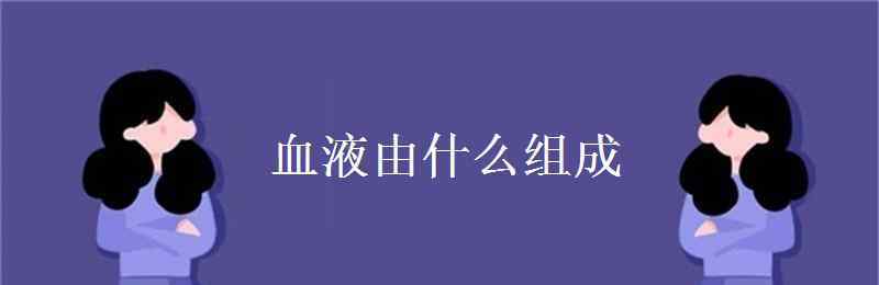 血液由什么组成 血液由什么组成