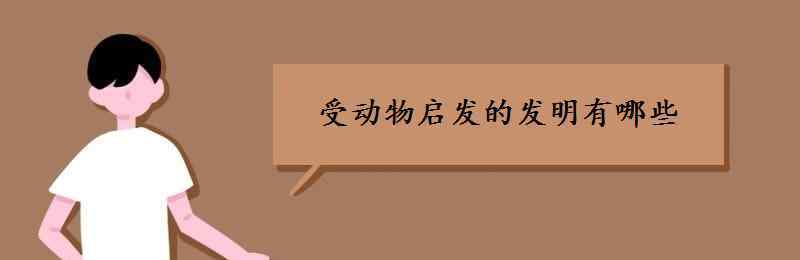 雷达是根据什么动物发明的 受动物启发的发明有哪些