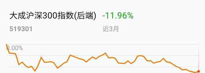 大成沪深300指数 大成沪深300指数如何投资？指数基金与股票基金的差别