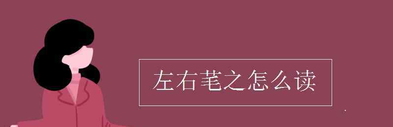 寤寐怎么读 左右芼之怎么读