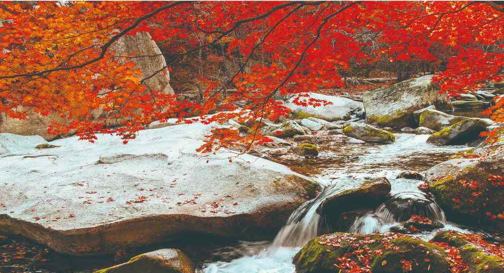 老边沟 行走的“枫景”把心留下——大石湖（老边沟）