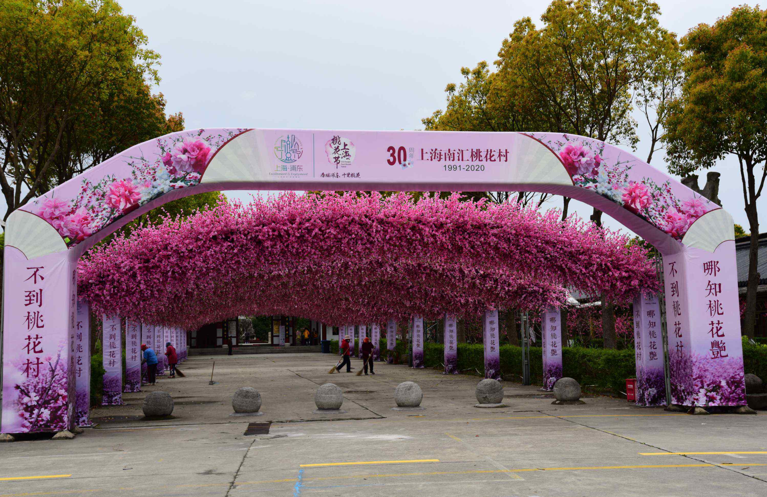 上海南汇桃花村 春游一一上海南汇桃花村2020年桃花节