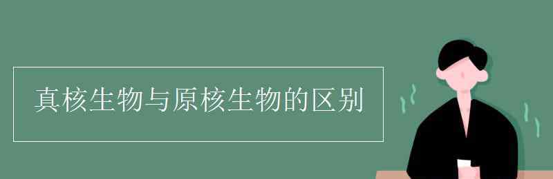 真核生物与原核生物的区别 真核生物与原核生物的区别