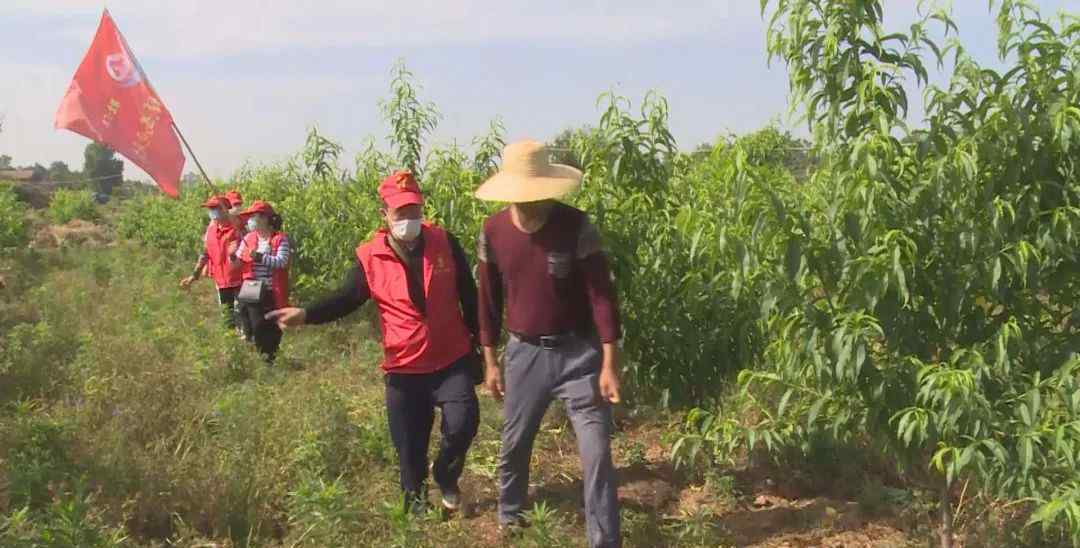 韩晓清 一份特产一份情 我市群众自购特产致谢江西援广医疗队