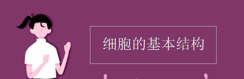 细胞的结构 细胞的基本结构