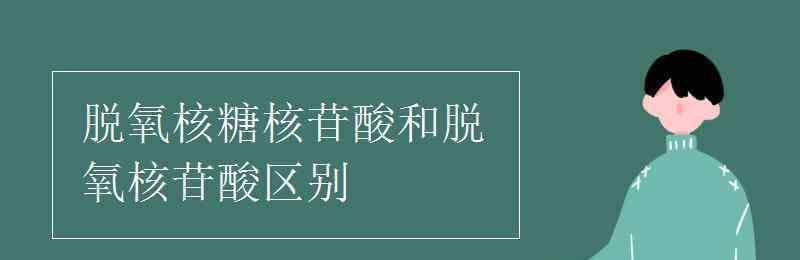 脱氧核糖核苷酸 脱氧核糖核苷酸和脱氧核苷酸区别