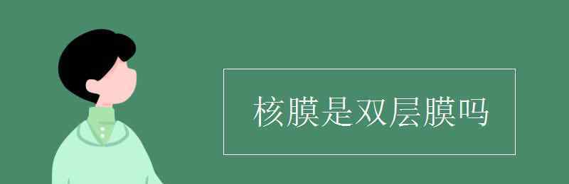 核膜是双层膜吗 核膜是双层膜吗