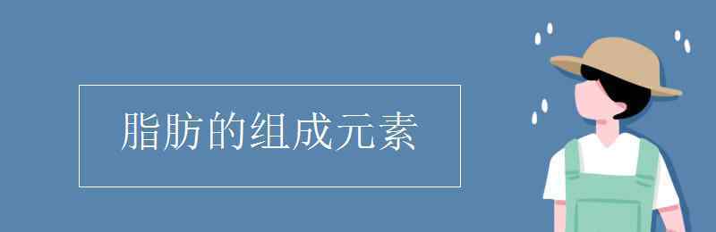 脂肪的组成元素 脂肪的组成元素