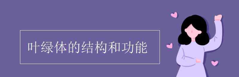 叶绿体的作用 叶绿体的结构和功能