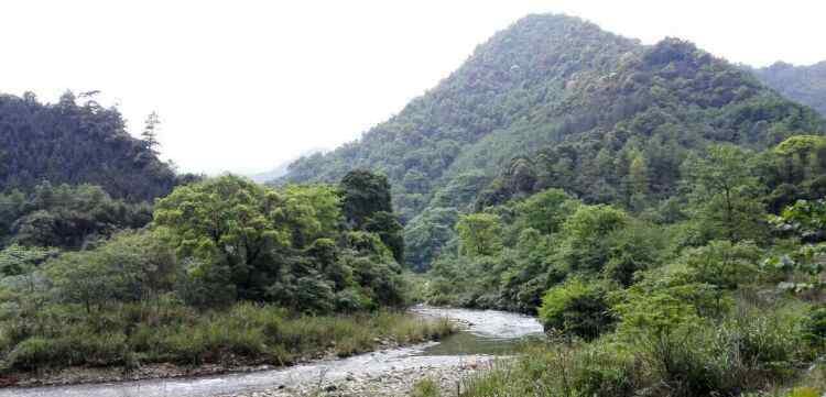 连州民宿 连州三水乡：美丽乡村  竹海民宿