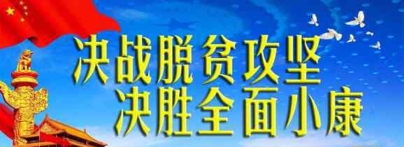 红玫瑰葡萄 昭通昭阳：红玫瑰葡萄丰收在望 期待一场甜蜜邂逅！