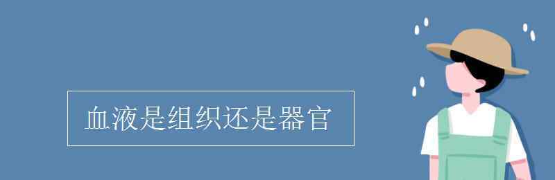 血液是组织还是器官 血液是组织还是器官