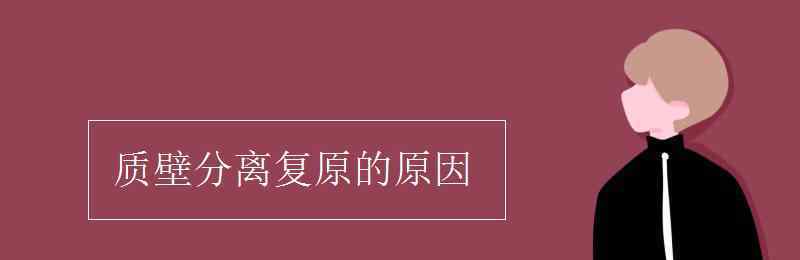 质壁分离复原的原因 质壁分离复原的原因