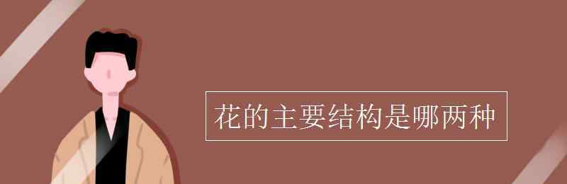 花的主要结构 花的主要结构是哪两种