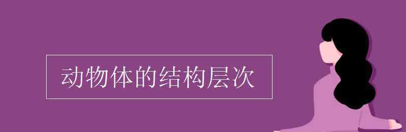 动物体的结构层次 动物体的结构层次