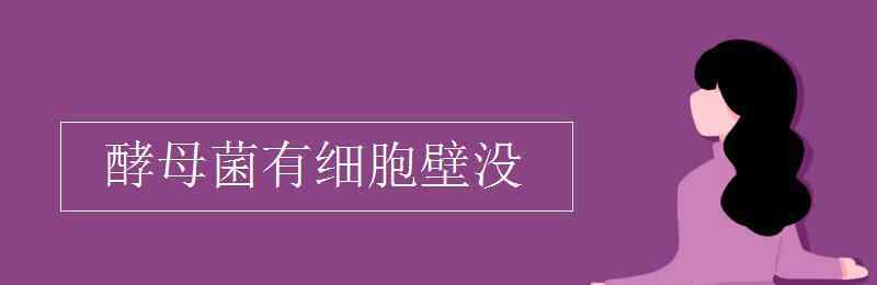 酵母菌有细胞壁吗 酵母菌有细胞壁没