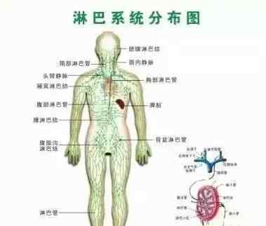 腋下淋巴输通技巧