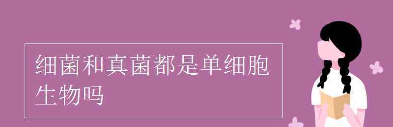 细菌是单细胞生物吗 细菌和真菌都是单细胞生物吗