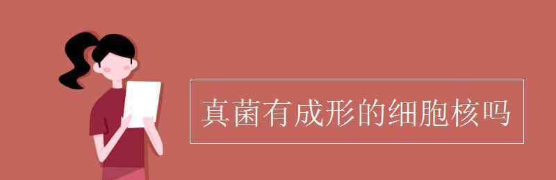 真菌有细胞核吗 真菌有成形的细胞核吗