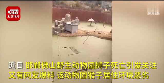 南京野生动物园门票价格 邯郸动物园猴子住绿藻污水池 为什么会这样？