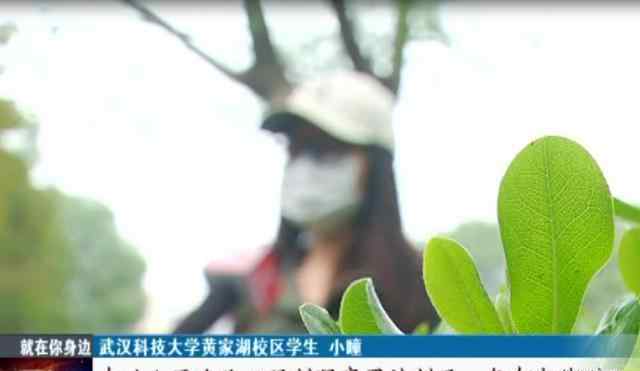 武汉学生妹服务 噩梦！武汉女大学生看病遭校医猥亵，发生了什么？