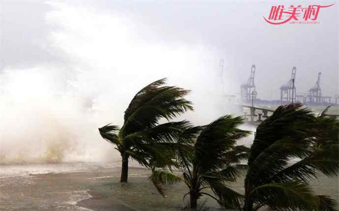 台风苗柏在哪里登陆 台风苗柏登录广州 广州多个机场已经关闭