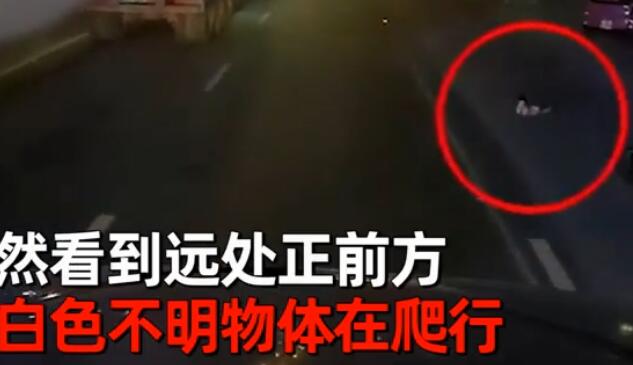 越南一司机深夜遇到白色不明物体在路中央爬行 凑近一看瞬间惊出一身冷汗
