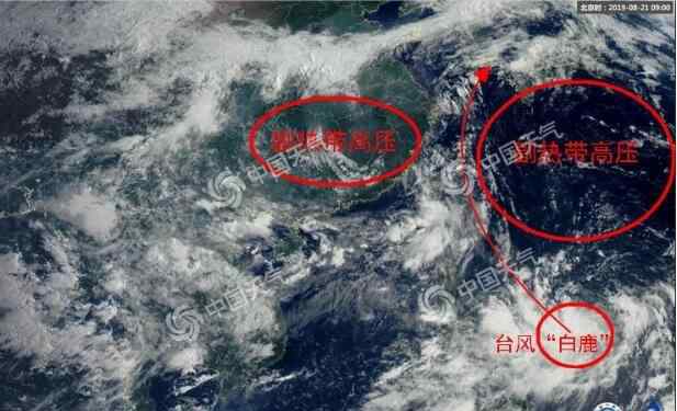 台风海燕最新消息 台风实时路径发布系统:11号台风白鹿最新消息 “白鹿”前世是台风“海燕”