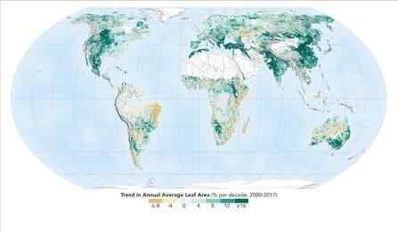 地球比20年前更绿 地球比20年前更绿 地球表面共新增植被面积相当于一块亚马逊雨林