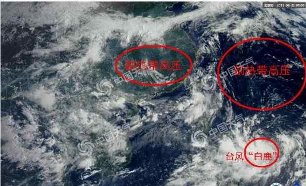 台风海燕最新消息 台风实时路径发布系统:11号台风白鹿最新消息 “白鹿”前世是台风“海燕”