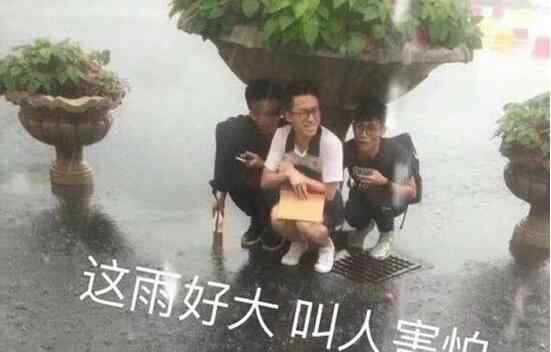 暴雨毕业照走红 晴空万里突然暴风雨 暴雨毕业照走红 老师淋雨端坐获赞