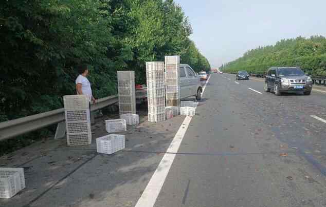 小龙虾百慕大翻车 神奇！小龙虾百慕大翻车 货车在此总是难逃厄运 虾也被压成“虾饼”