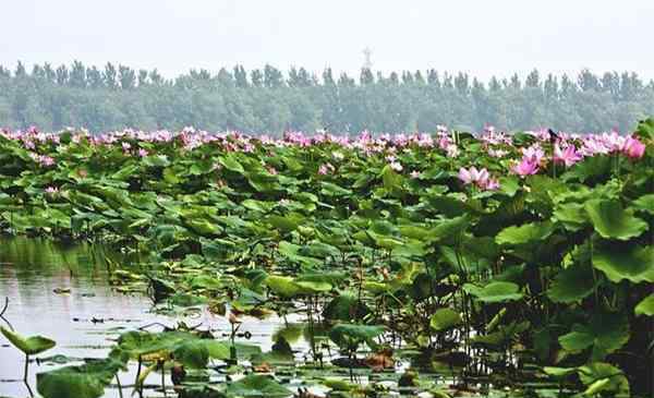 美丽湖泊垂钓 2020沈阳仙子湖风景度假区介绍 仙子湖垂钓-船票价格