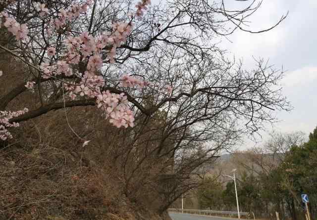 潭柘寺路线 潭柘寺骑行路线及攻略