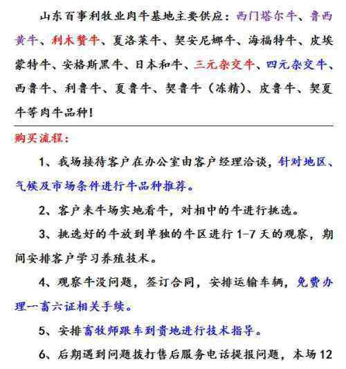 肉牛繁育 开封肉牛繁育基地联系人