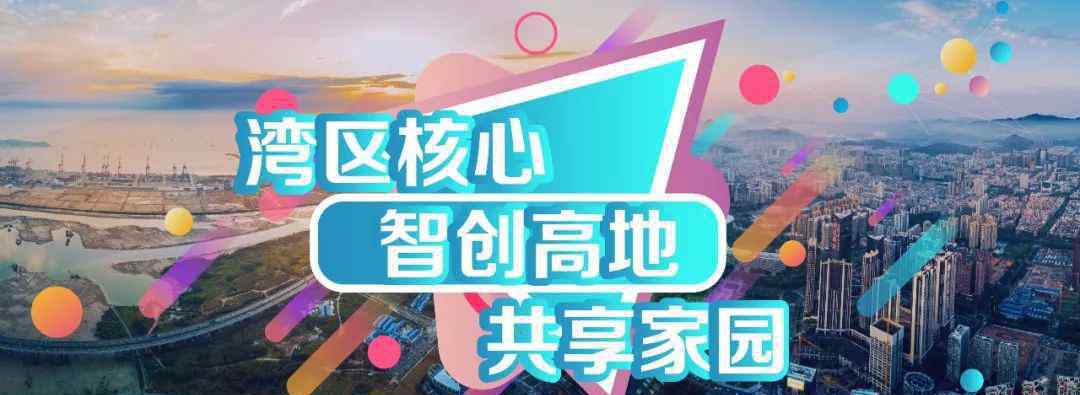 格子联盟 新安2019年荣获3项国家级荣誉，5个省级奖项，50余个市、区奖励！