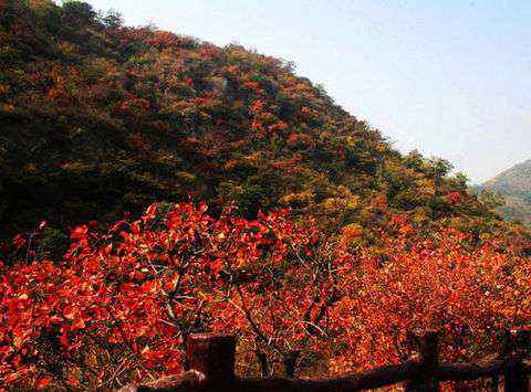 香山在哪里个城市 以红叶著名的香山位于哪座城市，北京！