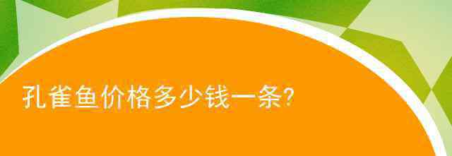 孔雀鱼批发 孔雀鱼价格多少钱一条?