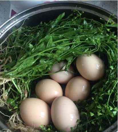 生日吃鸡蛋有什么寓意 三月三煮鸡蛋三月初三到了 煮鸡蛋有什么讲究看完懂了！