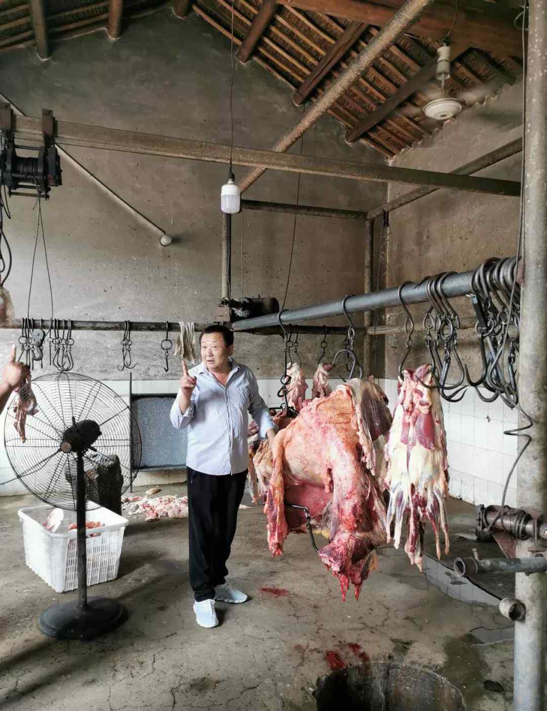 肉质 【运河故事】素有“肉质鲜嫩，瘦而不柴”之名的油坊老字号曲家牛肉