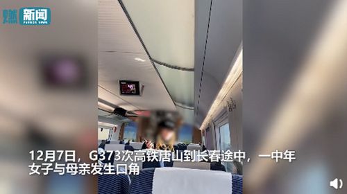 女子高铁辱骂母亲后弃母下车 其母表示还曾被打伤真相是什么？