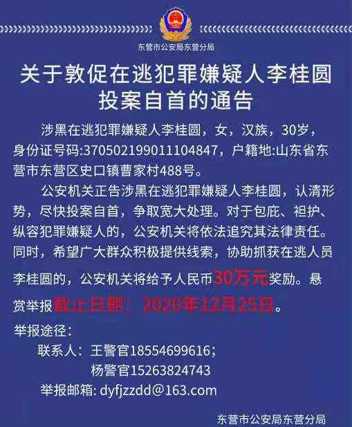 山东东营警方悬赏30万！抓捕涉黑组织女头目 还是个“90后”