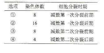 体细胞染色体数目 在细胞减数过程中染色体数目会发生变化.果蝇体细胞含有8条染色体