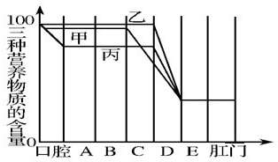 淀粉蛋白质脂肪的消化过程 图中三条曲线分别表示食物中的蛋白质、淀粉、脂肪三种成分经过消化道时被消化的情况．下端字母分别表示组成消化道的各个器官，试